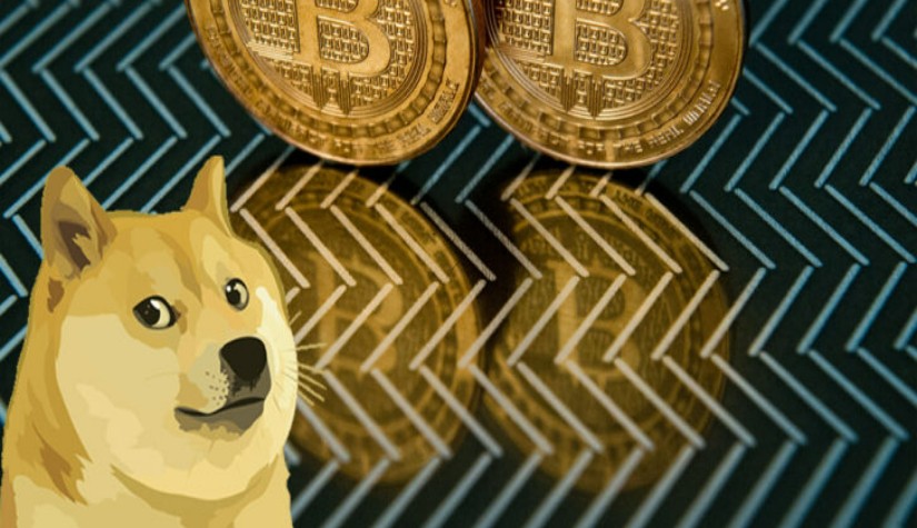 ข้อมูลเผย เหรียญ Dogecoin เกือบทั้งหมดถูกถือไว้โดยกลุ่มคนเพียง 0.01% เท่านั้น