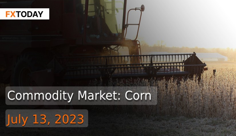Commodity Market: Corn (July 13, 2023)