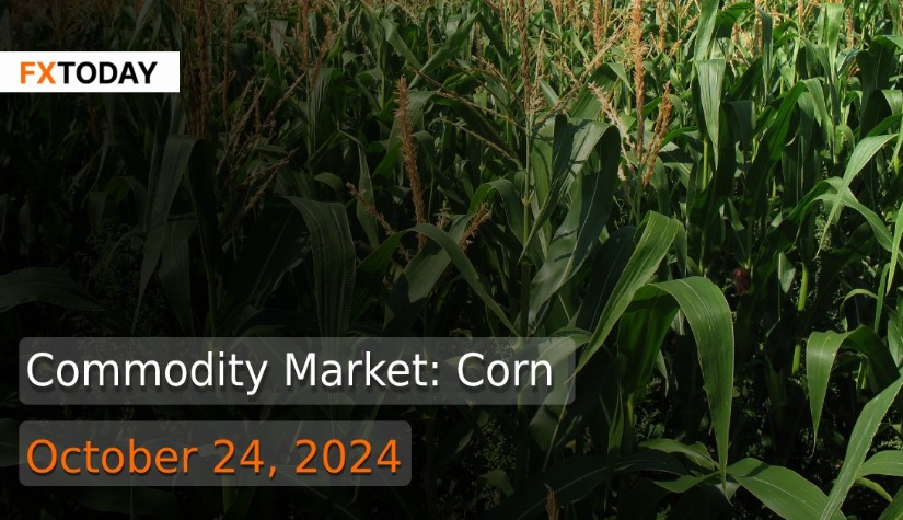 Commodity Market - Corn