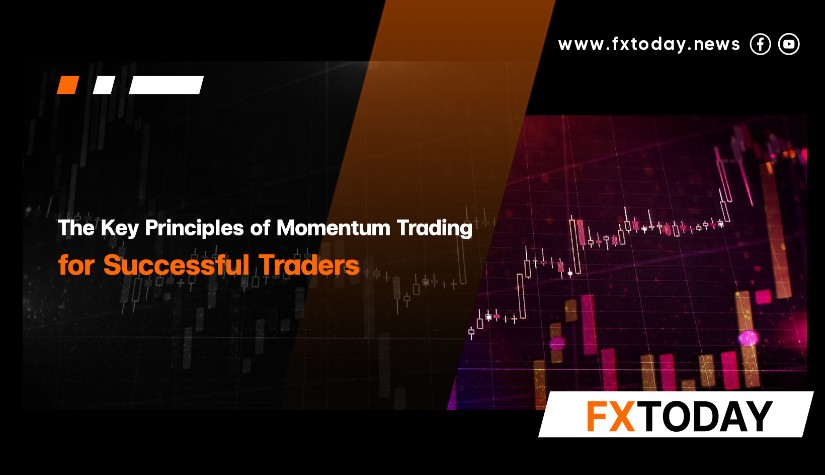 The Key Principles of Momentum Trading for Successful Traders