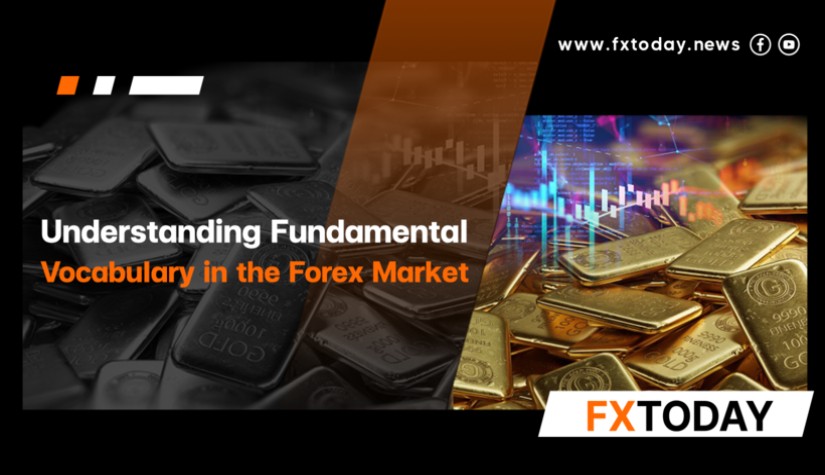 Understanding Fundamental Vocabulary in the Forex Market