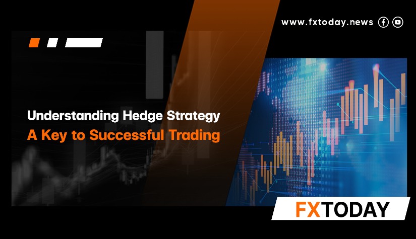 Understanding Hedge Strategy: A Key to Successful Trading